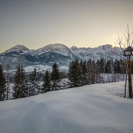 Radochsbergloft Appartement Abtenau Buitenkant foto