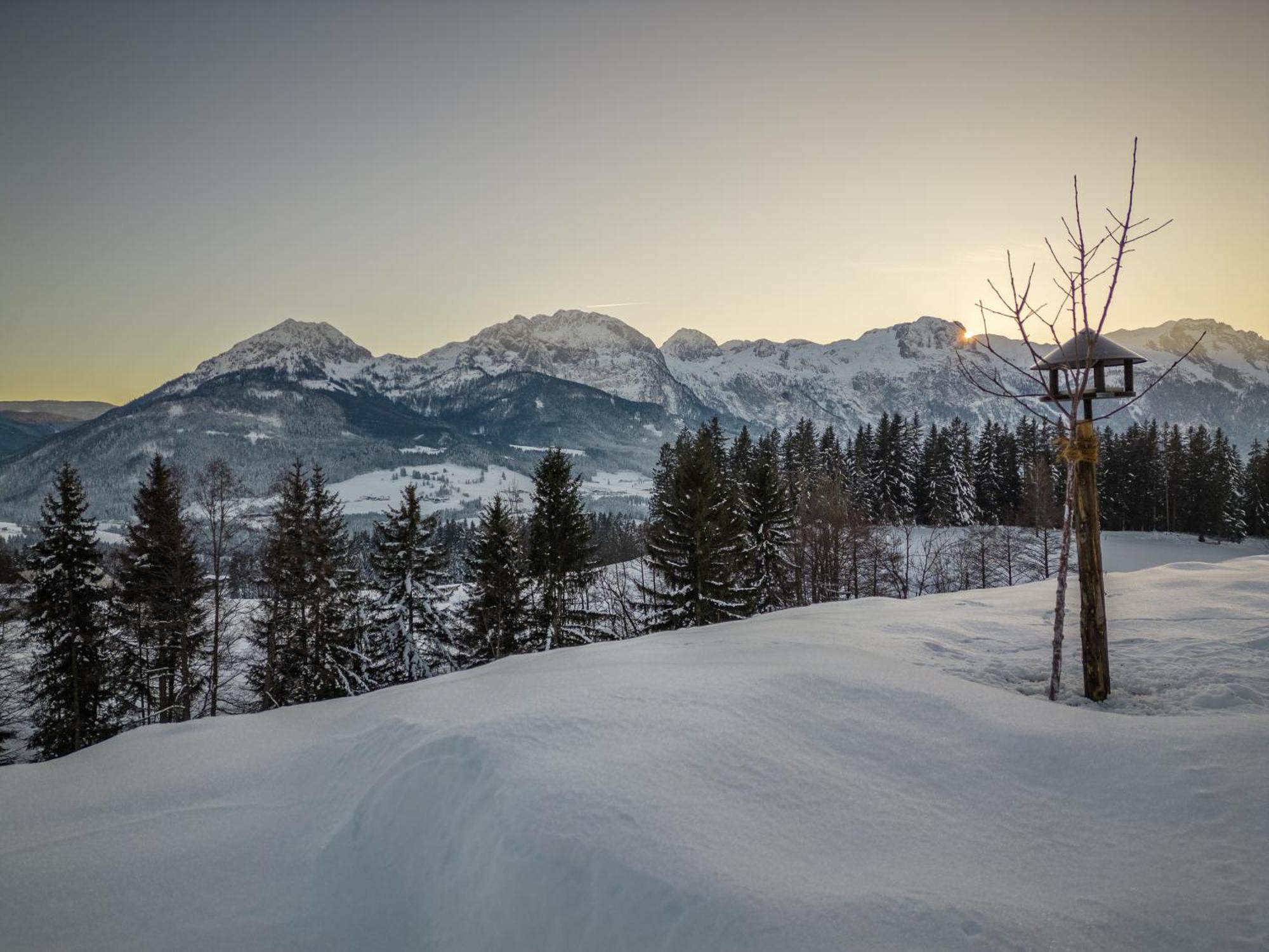 Radochsbergloft Appartement Abtenau Buitenkant foto